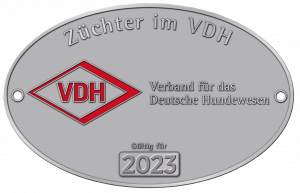 Plakette VDH